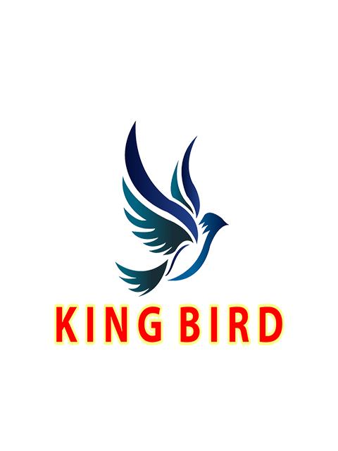 kingbird 6.20 Screenshot 6