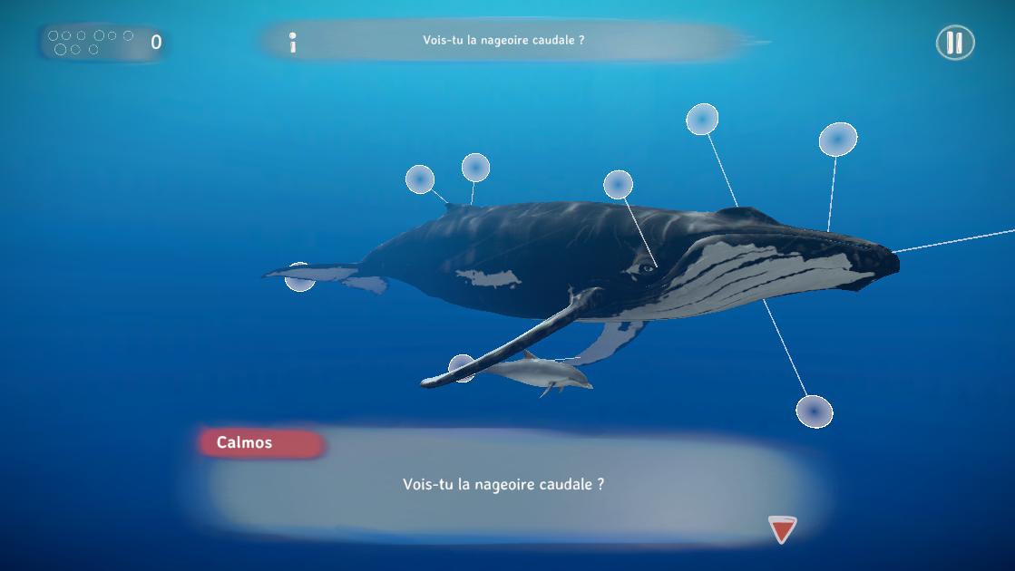 JojoSousLeau 1 Screenshot 8
