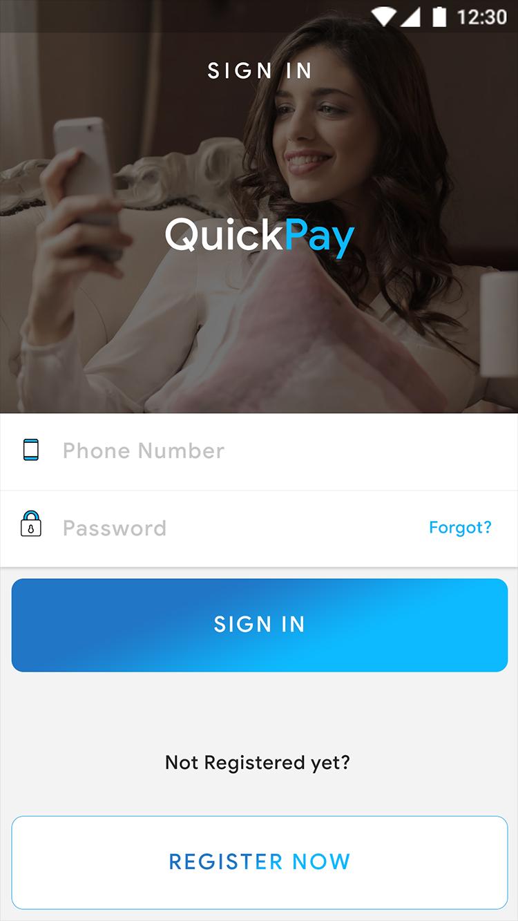 QuickPay - Template screenshot