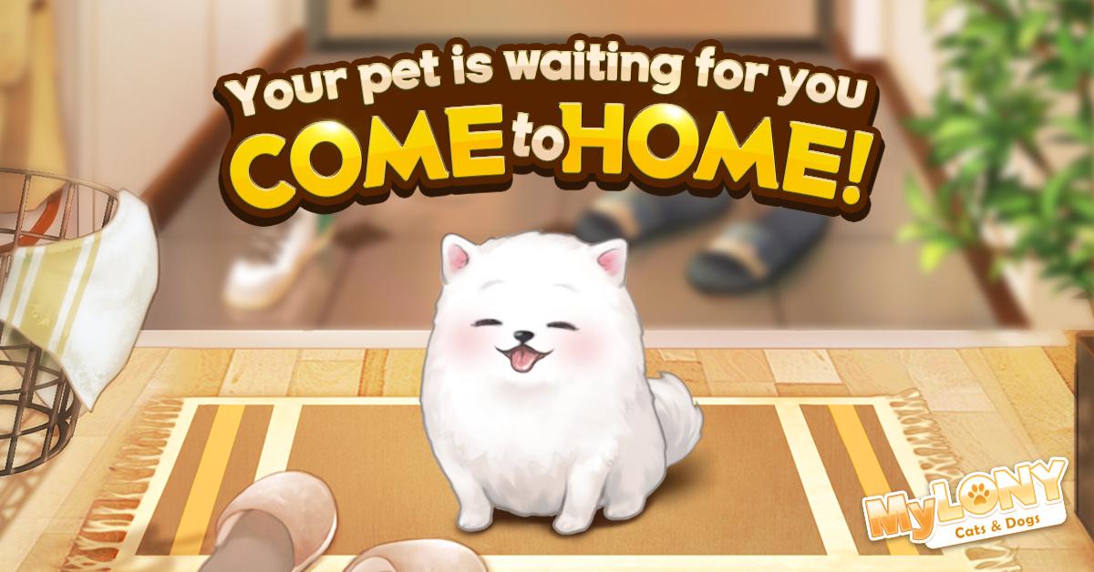 MyLONY Cats & Dogs 0.15.41 Screenshot 8