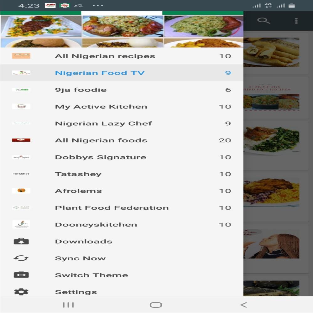 Nigerian Food Recipes 1.0 Screenshot 1