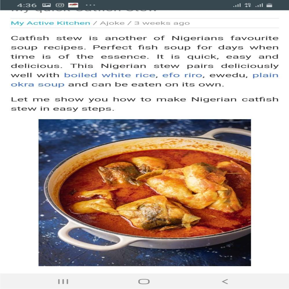 Nigerian Food Recipes 1.0 Screenshot 8