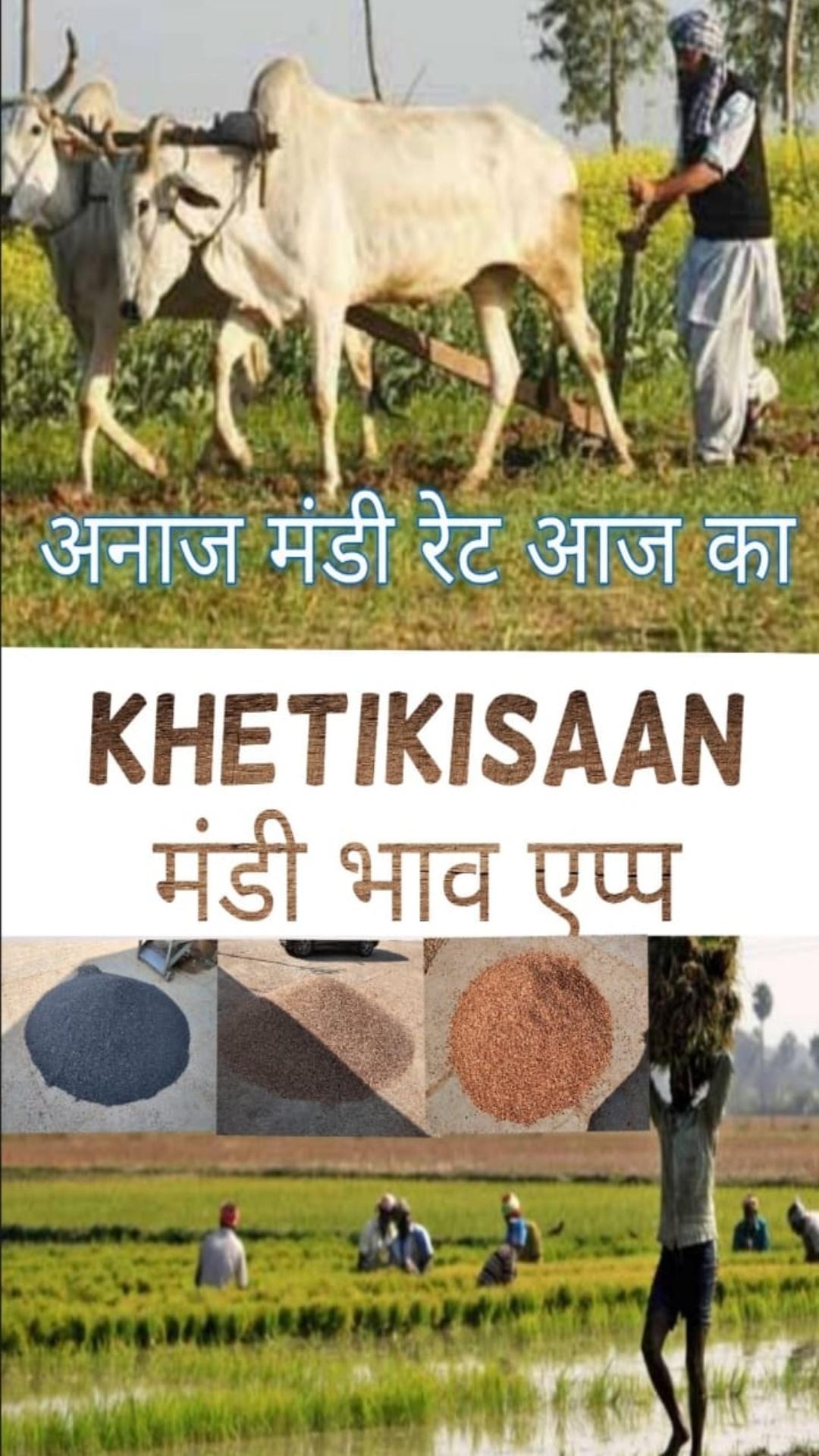 KhetiKisaan - Live Mandi Bhav 1.3 Screenshot 1