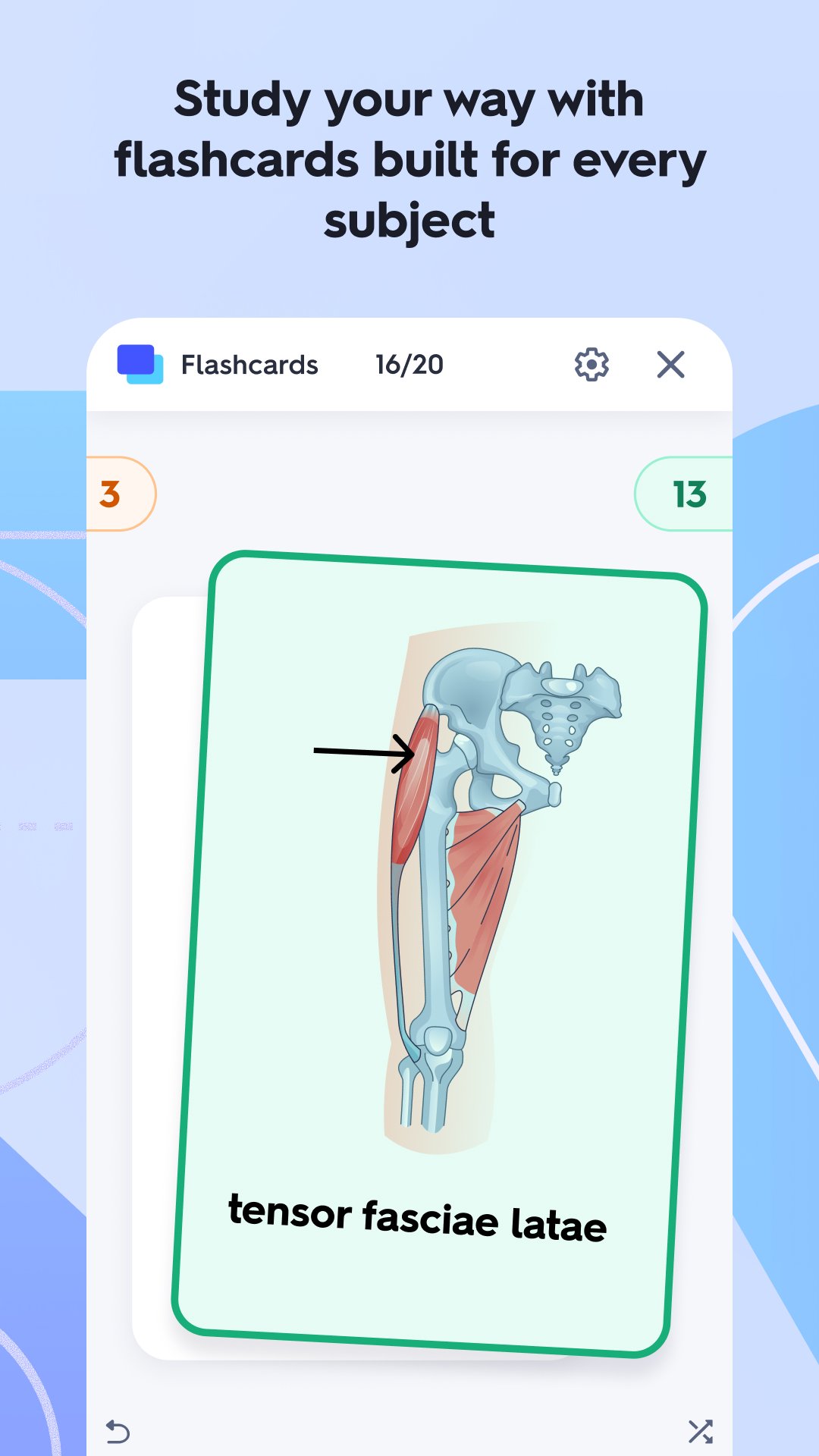 Quizlet 10.49 Screenshot 2