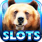 Slot Machine: Bear Slots app icon
