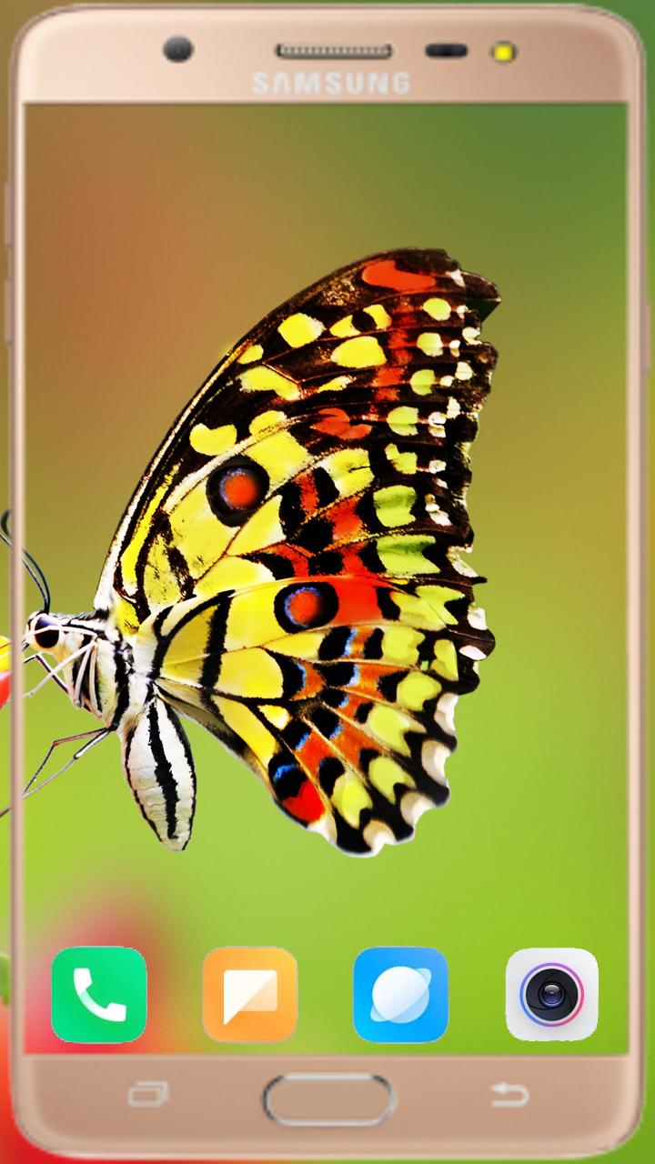 Butterfly Wallpaper Best HD 1.04 Screenshot 4