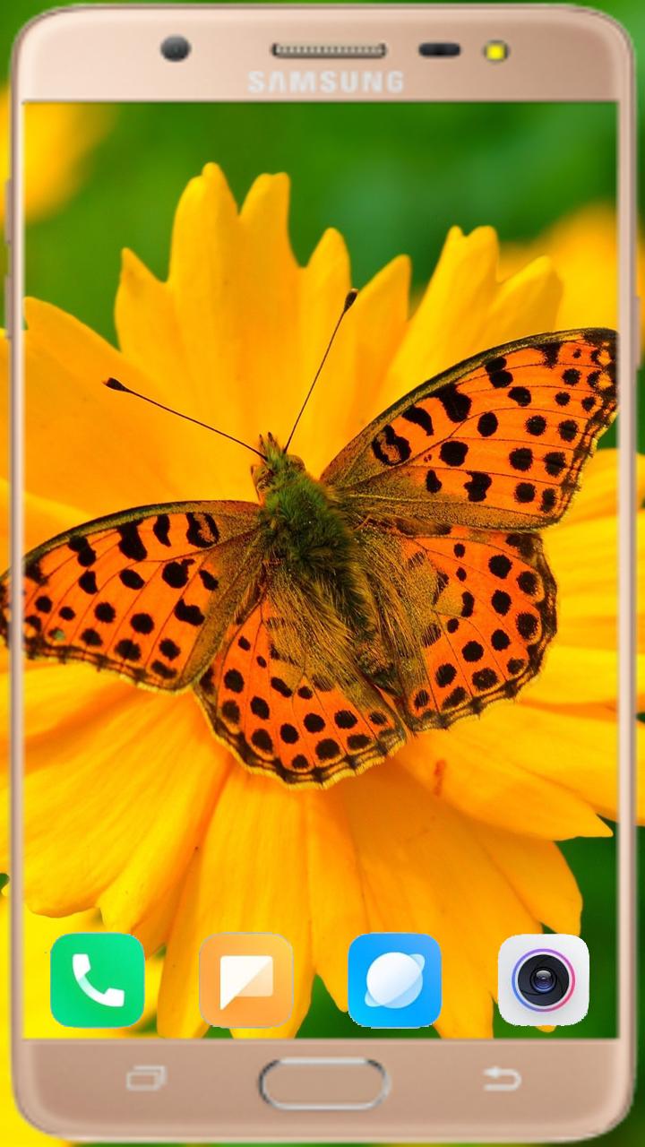 Butterfly Wallpaper Best HD 1.04 Screenshot 7