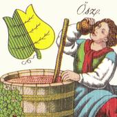 Zsirozas Fat card game app icon