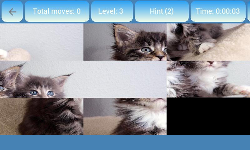 Collect picture Cats & kittens 1.8.0 Screenshot 4