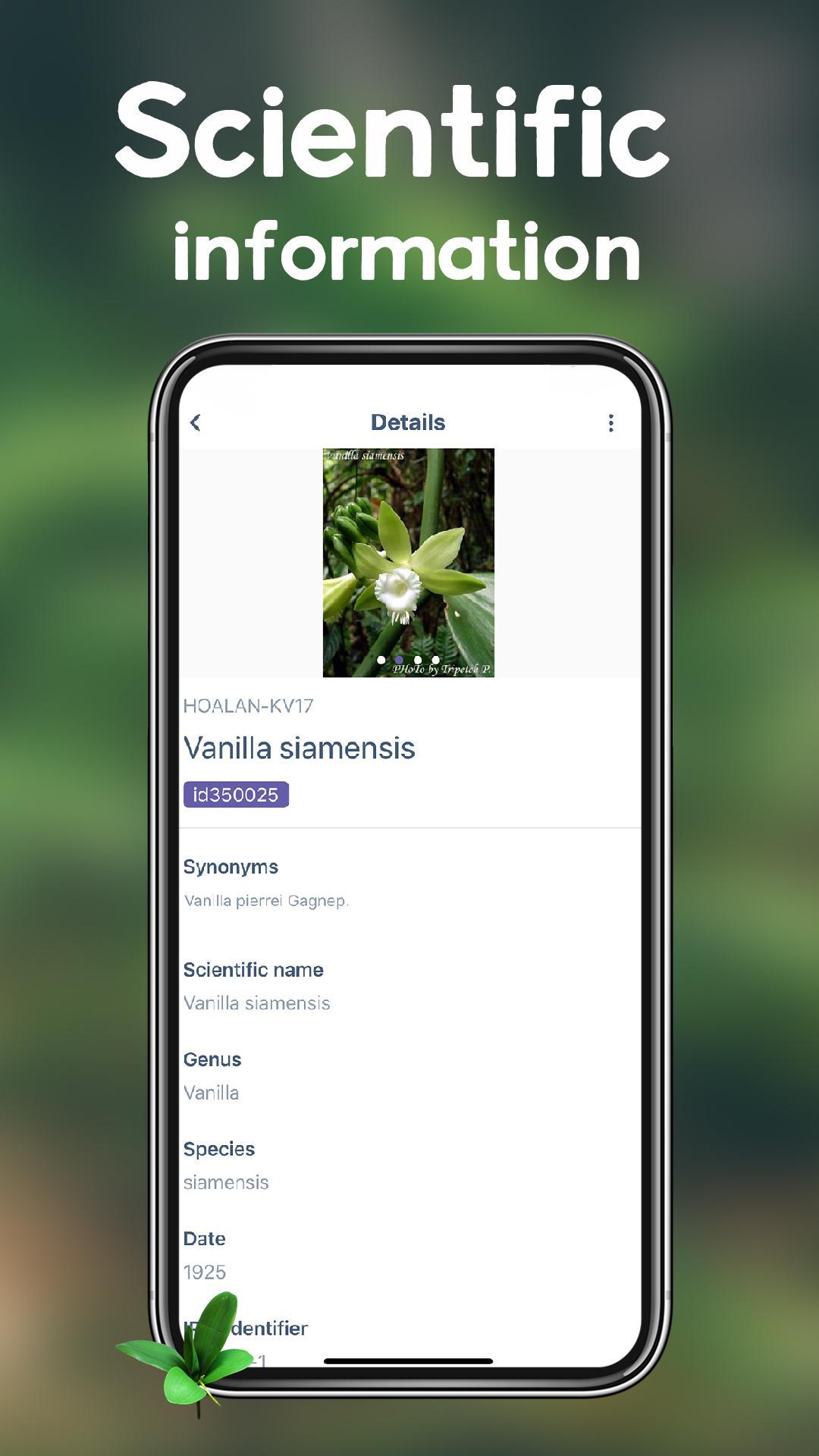 Lookuq Orchid Identifier 5.0.81.20201228 Screenshot 6