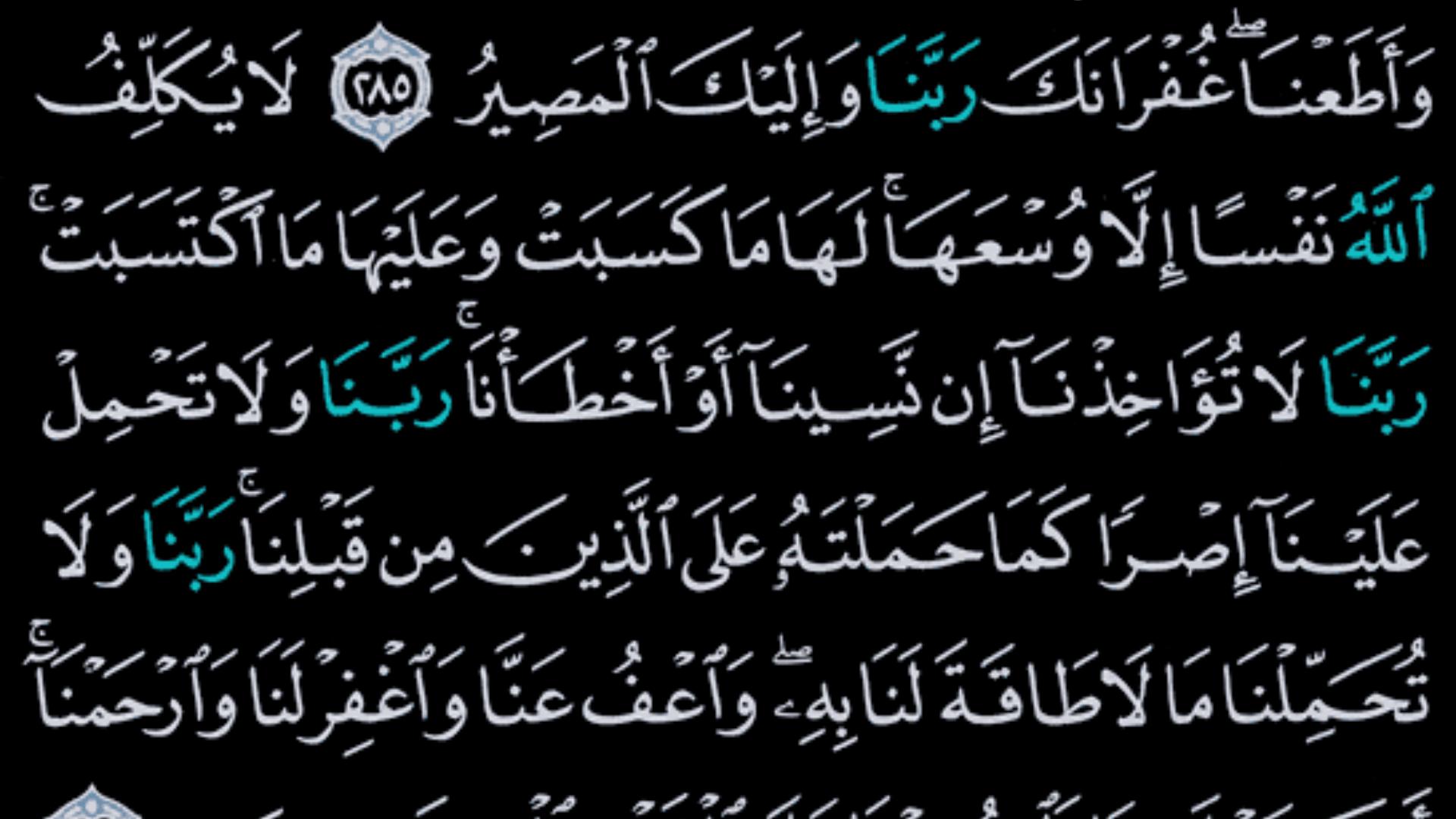 القرآن الكريم كامل بدون انترنت 8.2 Screenshot 4