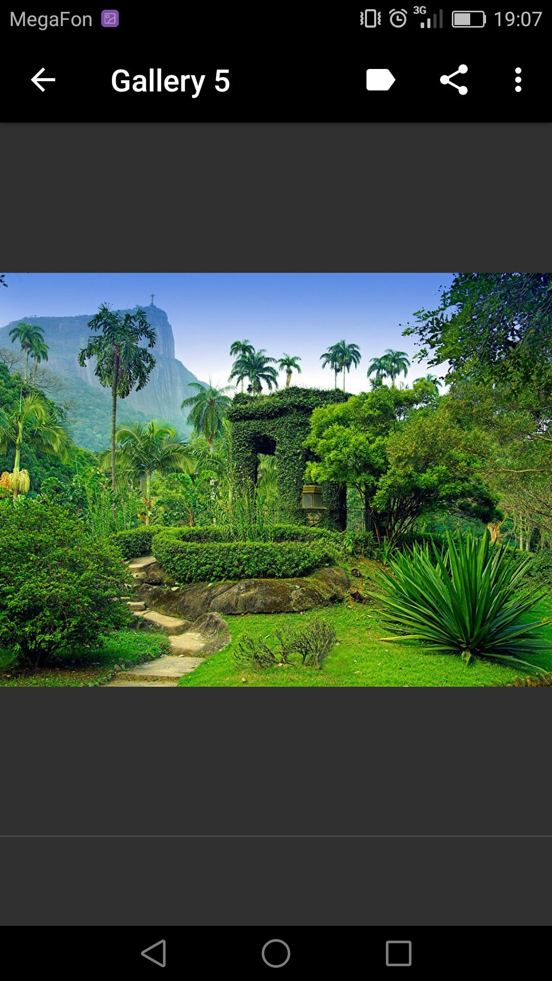Botanical Gardens 3.1.2 Screenshot 3
