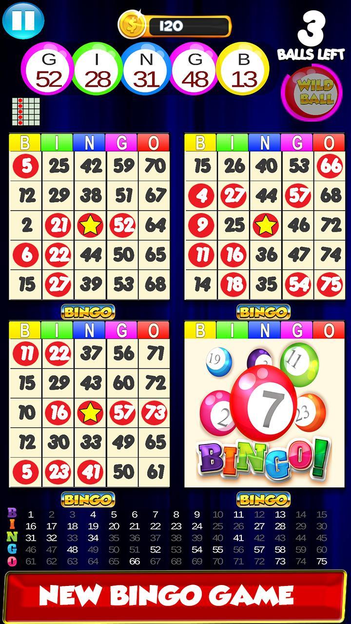 Bingo: New Free Cards Game Vegas and Casino Feel 2.1 Screenshot 3