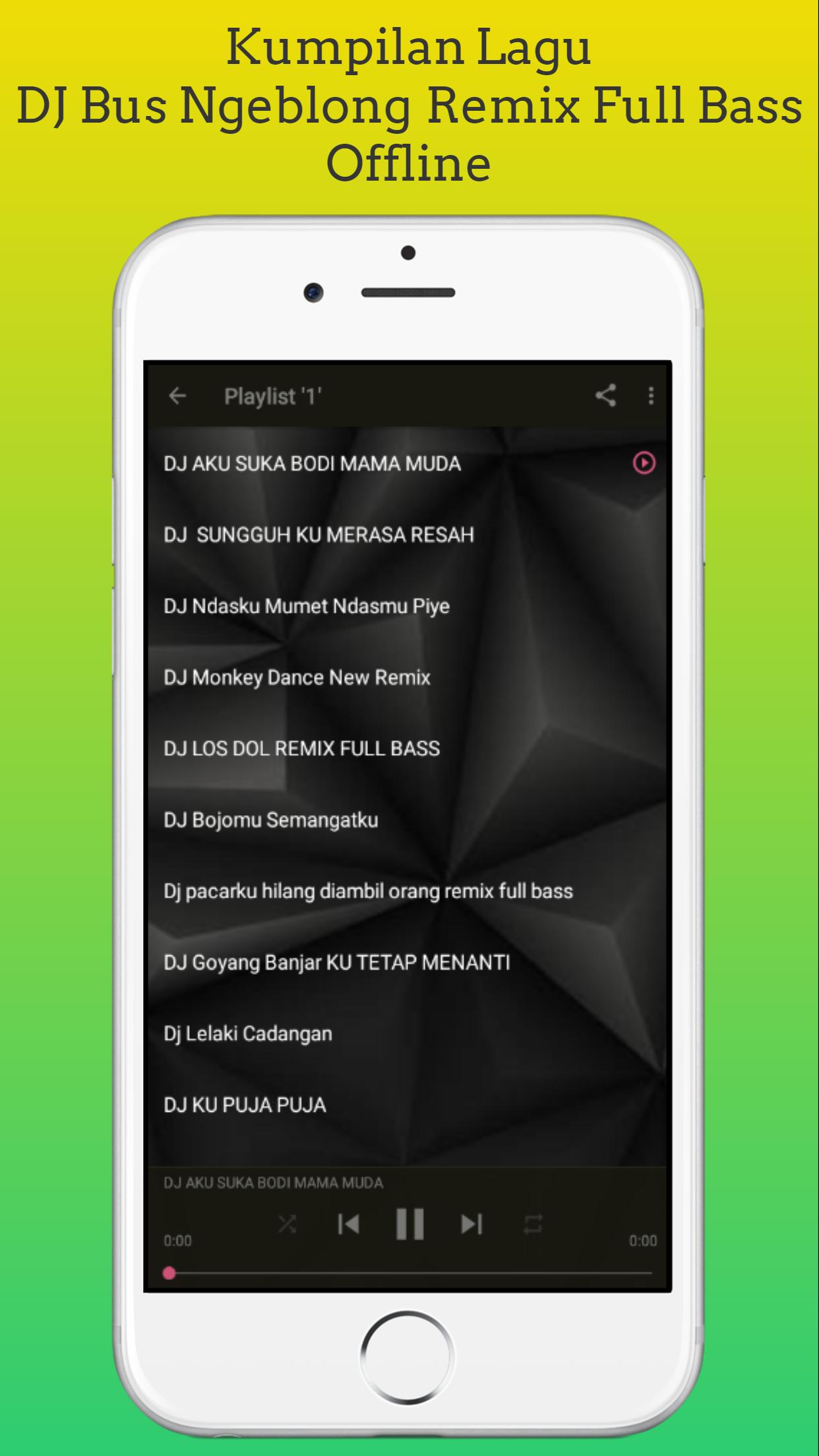 dj bus ngeblonga Remix Full Bass Offline 1.2 Screenshot 5