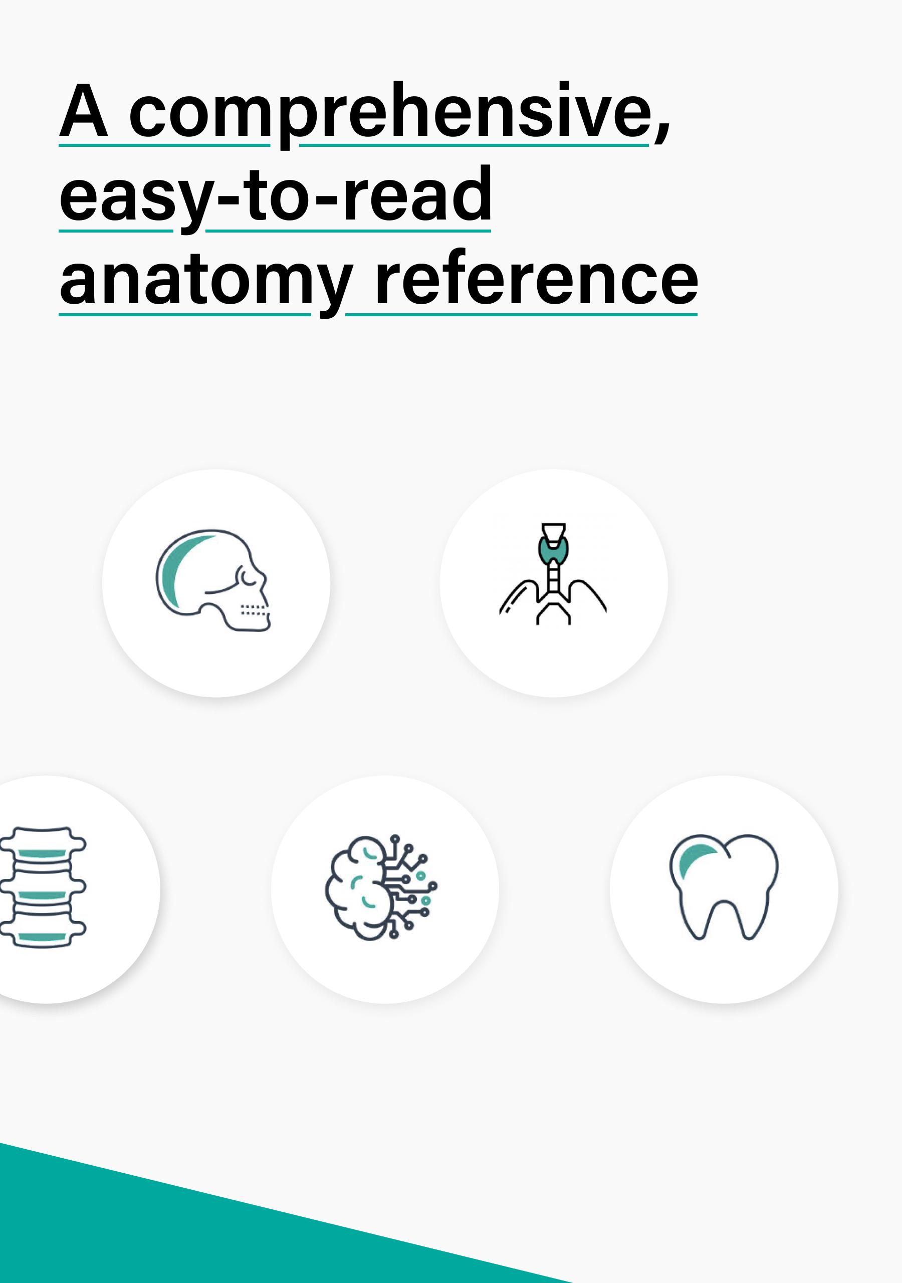 Teach Me Anatomy: 3D Human Body & Clinical Quizzes 5.13 Screenshot 11