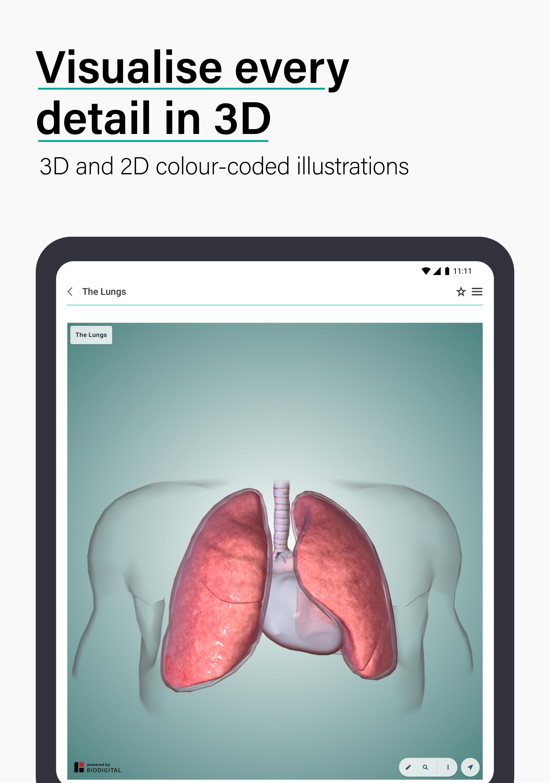 Teach Me Anatomy: 3D Human Body & Clinical Quizzes 5.13 Screenshot 14