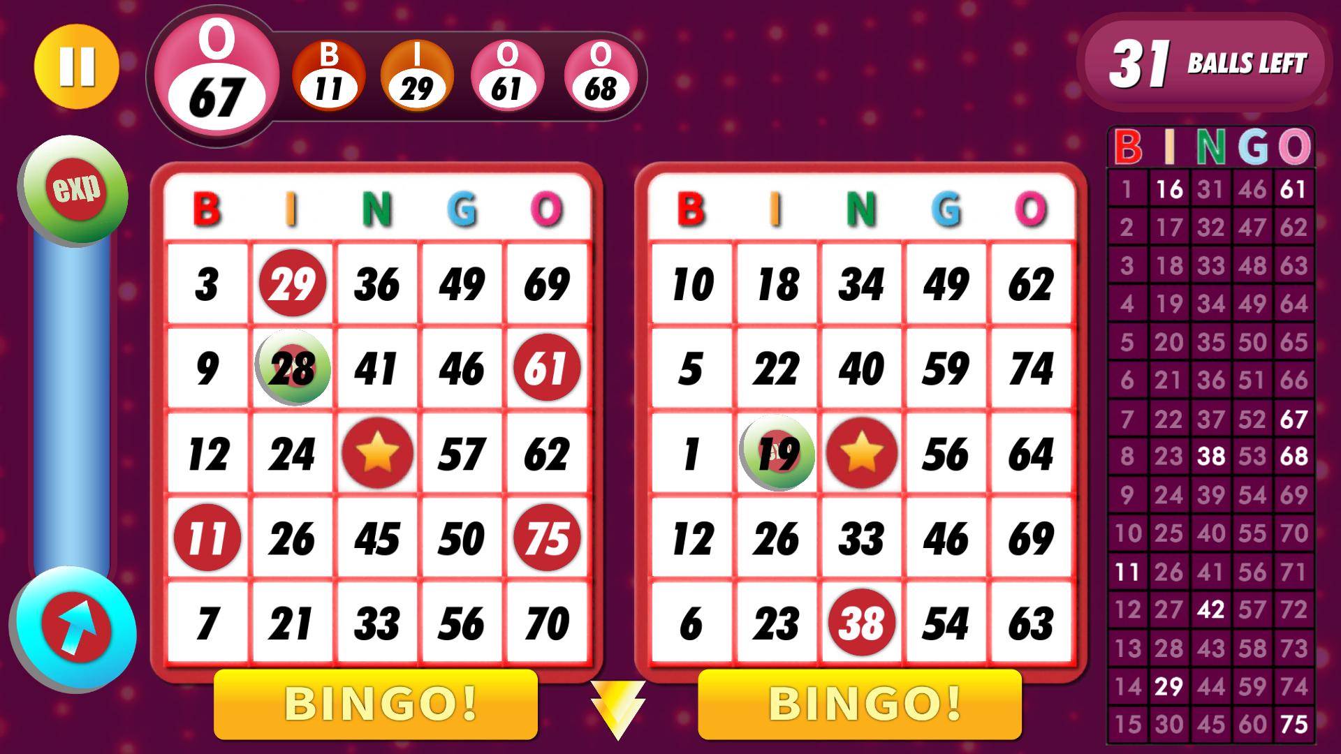 Bingo Classic Game - Offline Free 2.5.5 Screenshot 1
