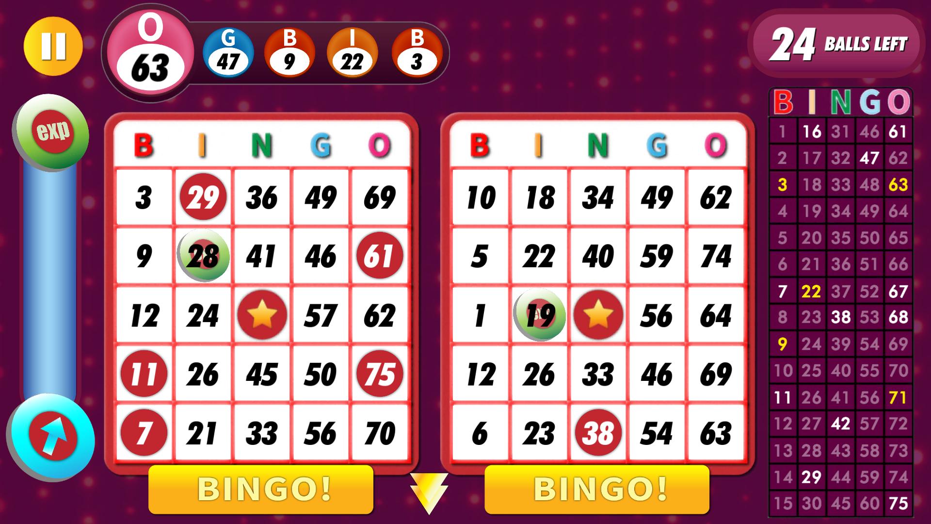 Bingo Classic Game - Offline Free 2.5.5 Screenshot 12