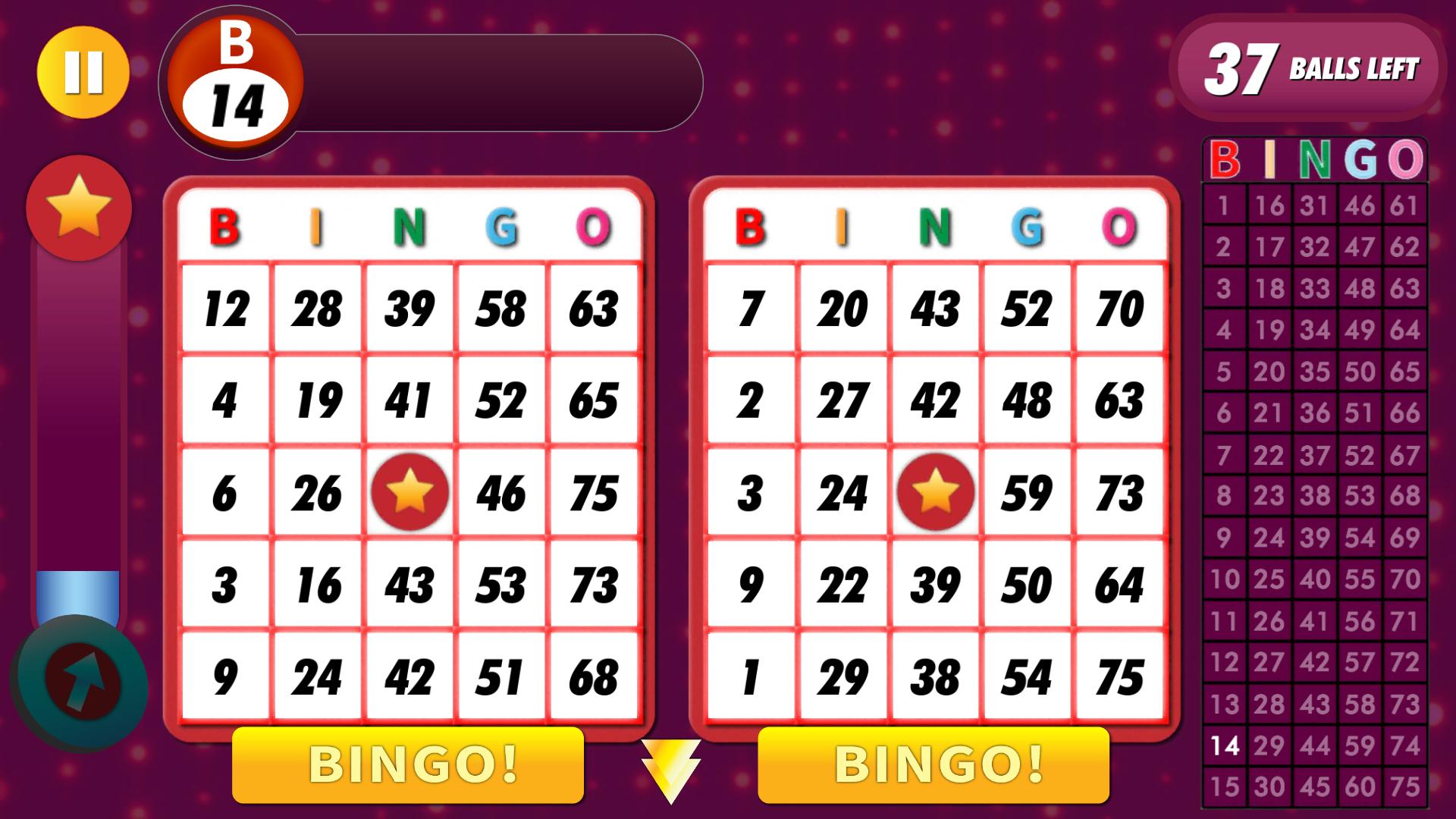 Bingo Classic Game - Offline Free 2.5.5 Screenshot 14