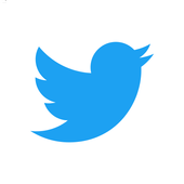 Twitter Lite app icon
