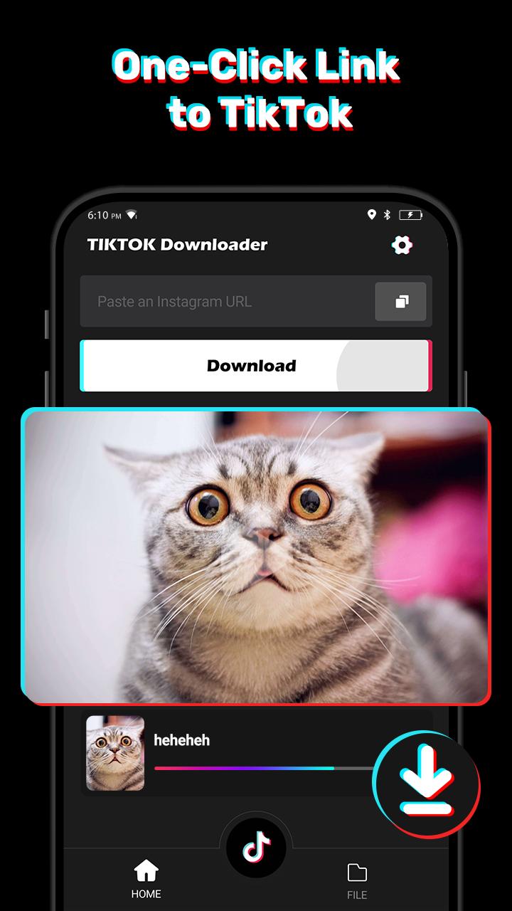 Video Downloader for Tiktok - No Watermark Free 1.0.1 Screenshot 2