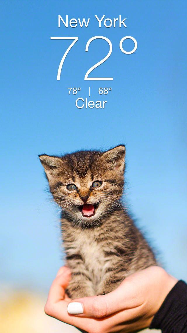 Weather Kitty App & Widget Weather Forecast 5.3.7 Screenshot 1