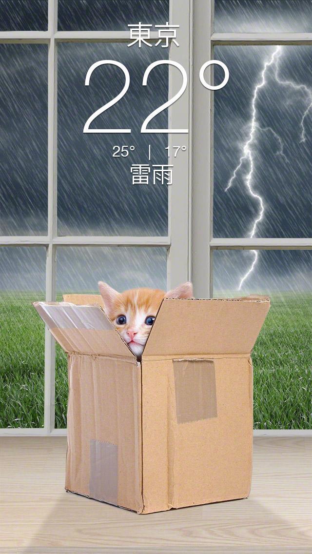 Weather Kitty App & Widget Weather Forecast 5.3.7 Screenshot 4