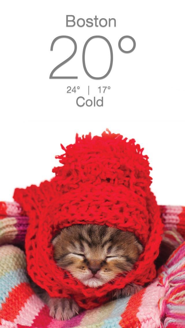 Weather Kitty App & Widget Weather Forecast 5.3.7 Screenshot 5