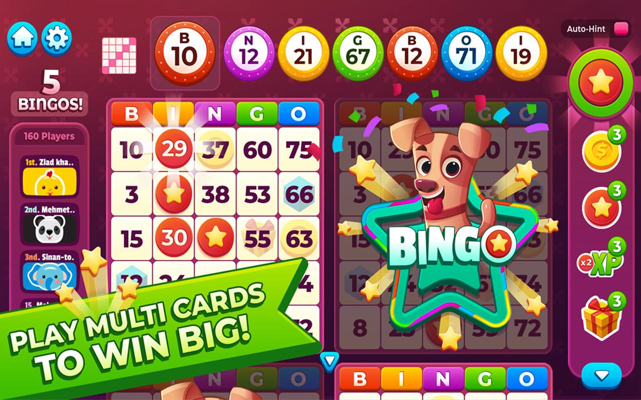Bingo My Home 0.130 Screenshot 9