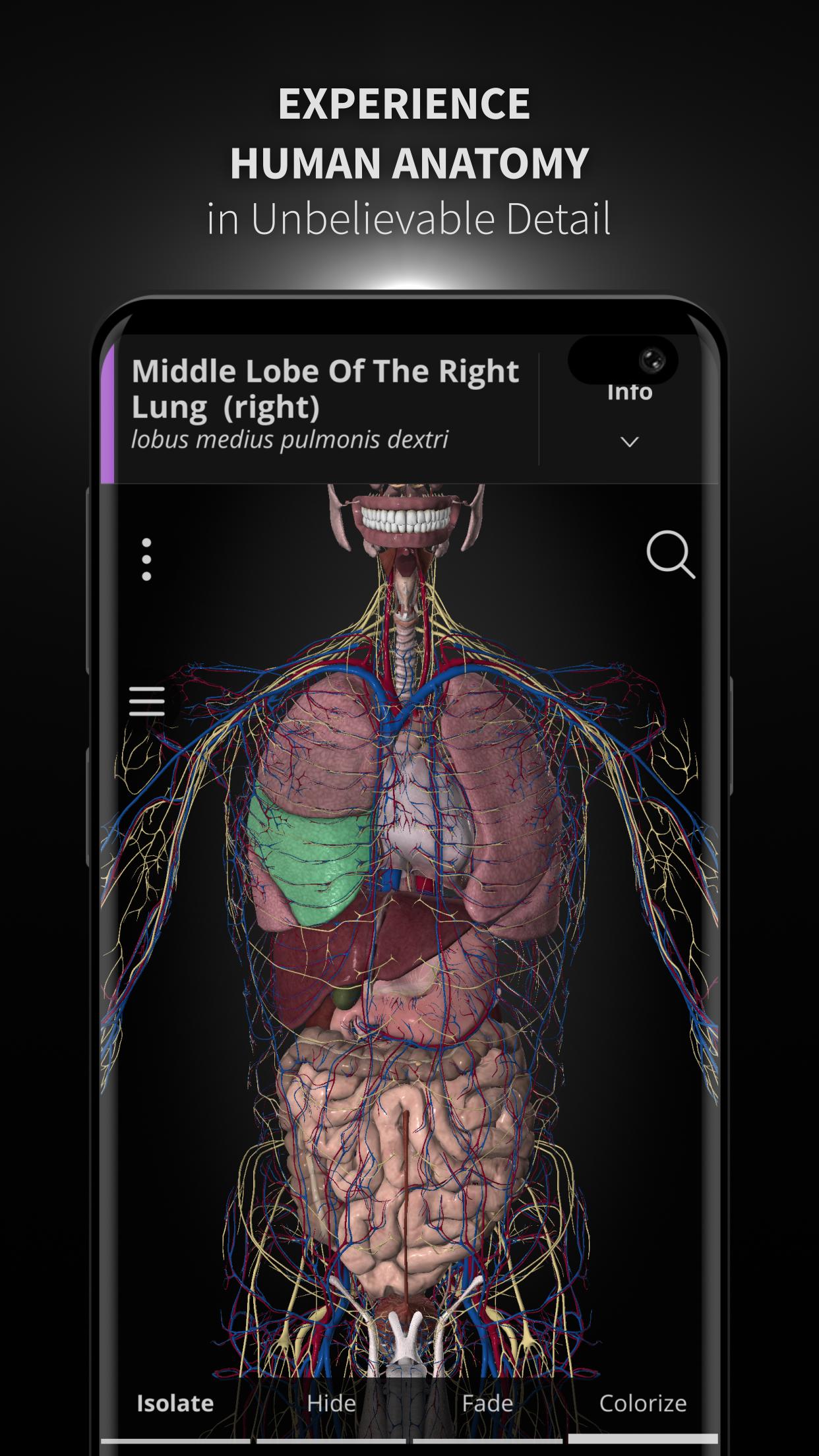 Anatomyka - 3D Human Anatomy Atlas 2.0.8 Screenshot 1