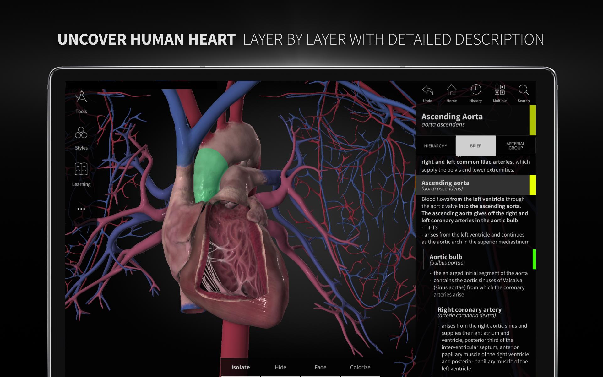 Anatomyka - 3D Human Anatomy Atlas 2.0.8 Screenshot 11