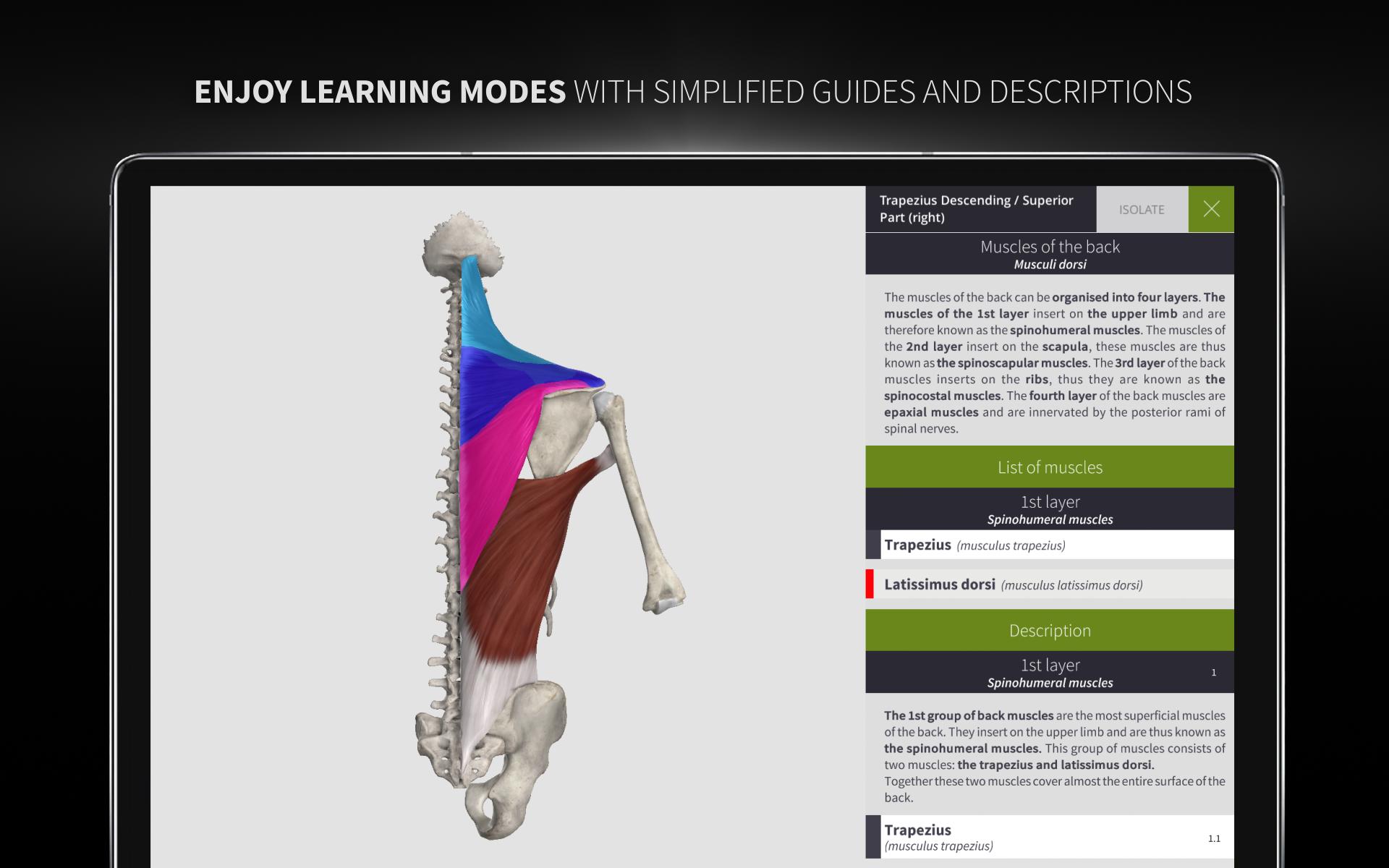 Anatomyka - 3D Human Anatomy Atlas 2.0.8 Screenshot 15
