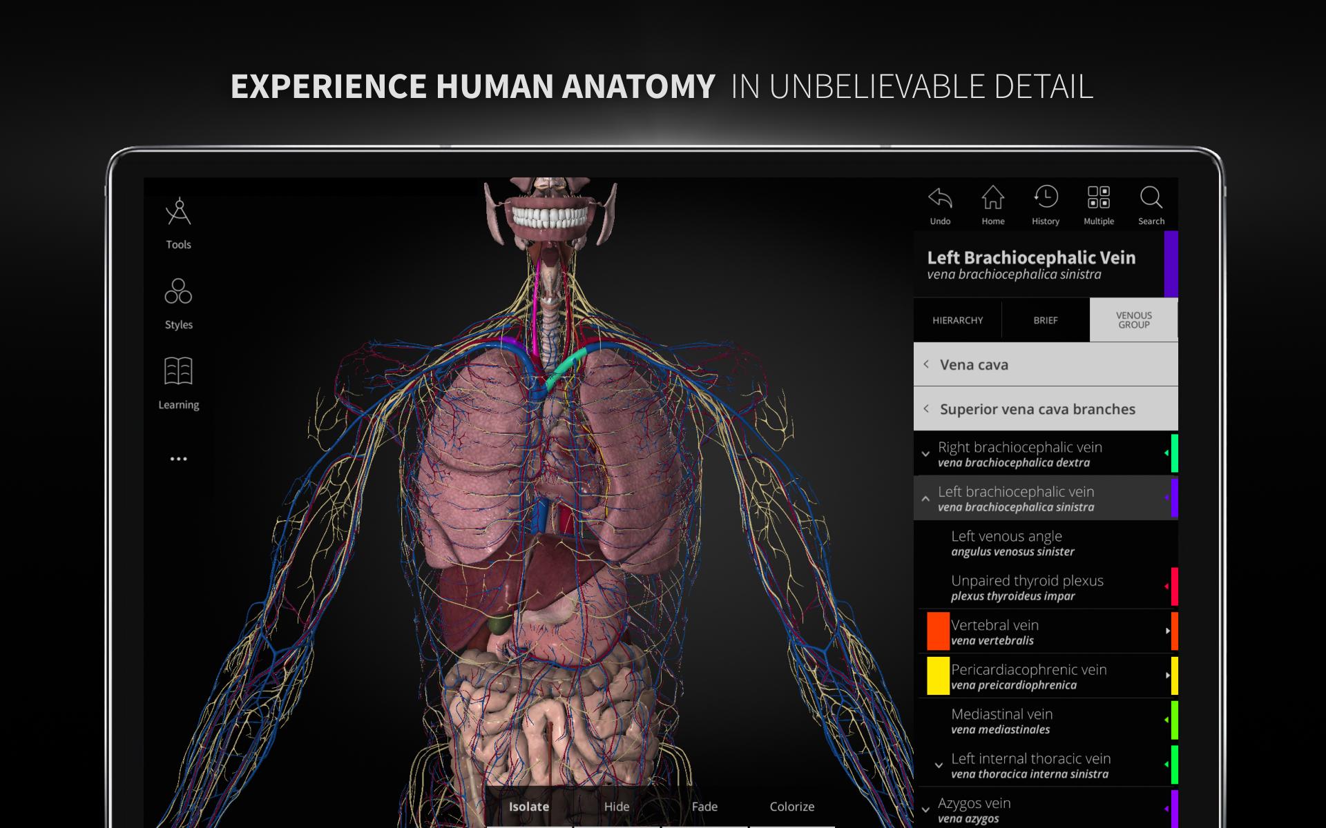 Anatomyka - 3D Human Anatomy Atlas 2.0.8 Screenshot 17