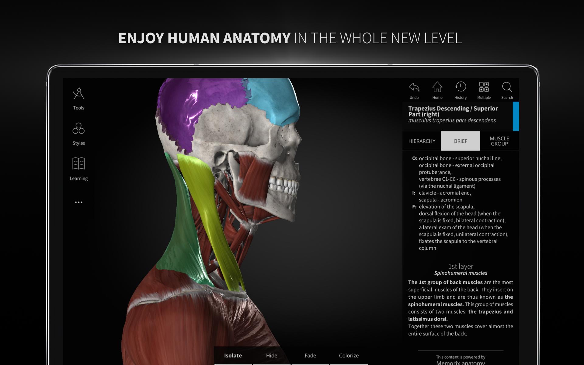 Anatomyka - 3D Human Anatomy Atlas 2.0.8 Screenshot 19