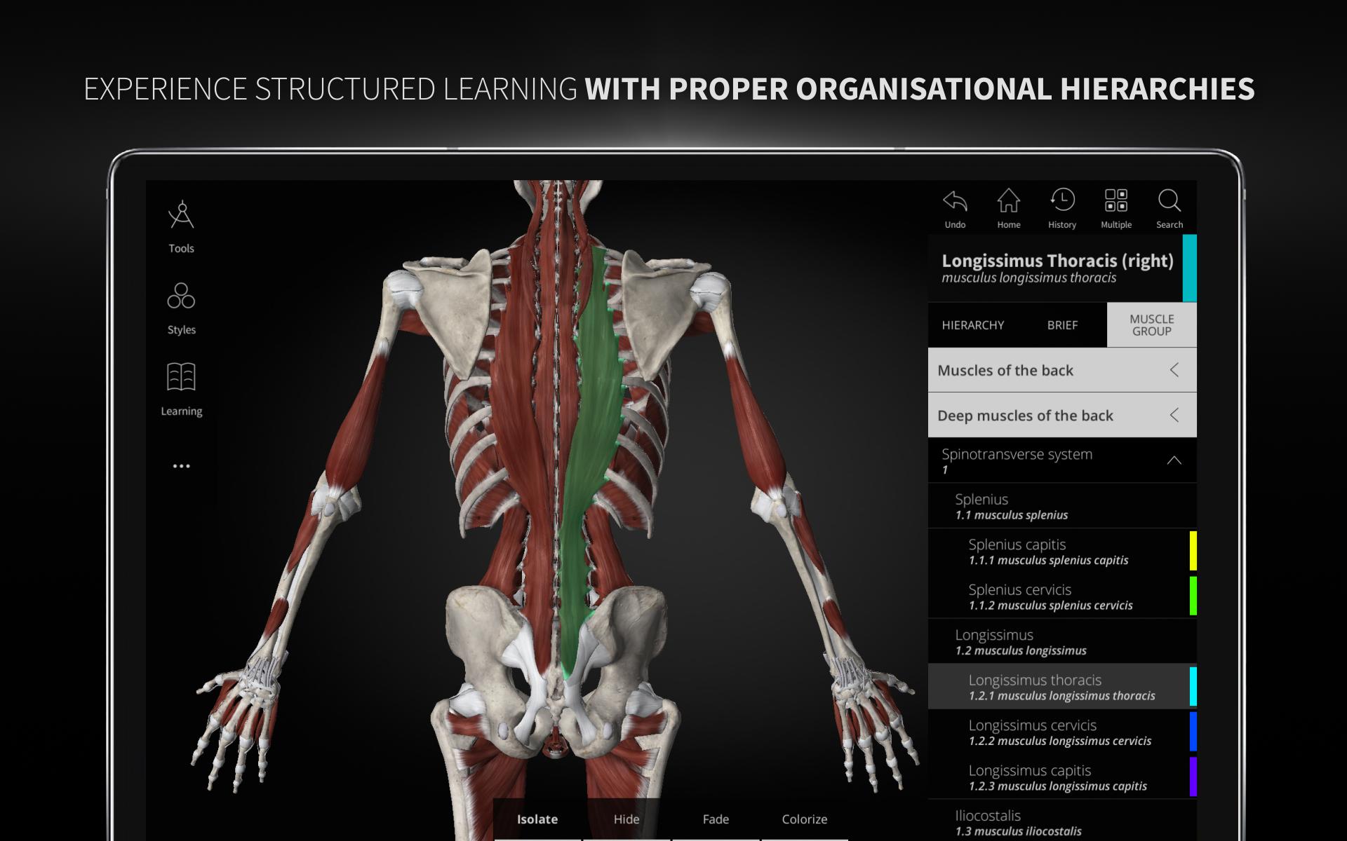 Anatomyka - 3D Human Anatomy Atlas 2.0.8 Screenshot 22