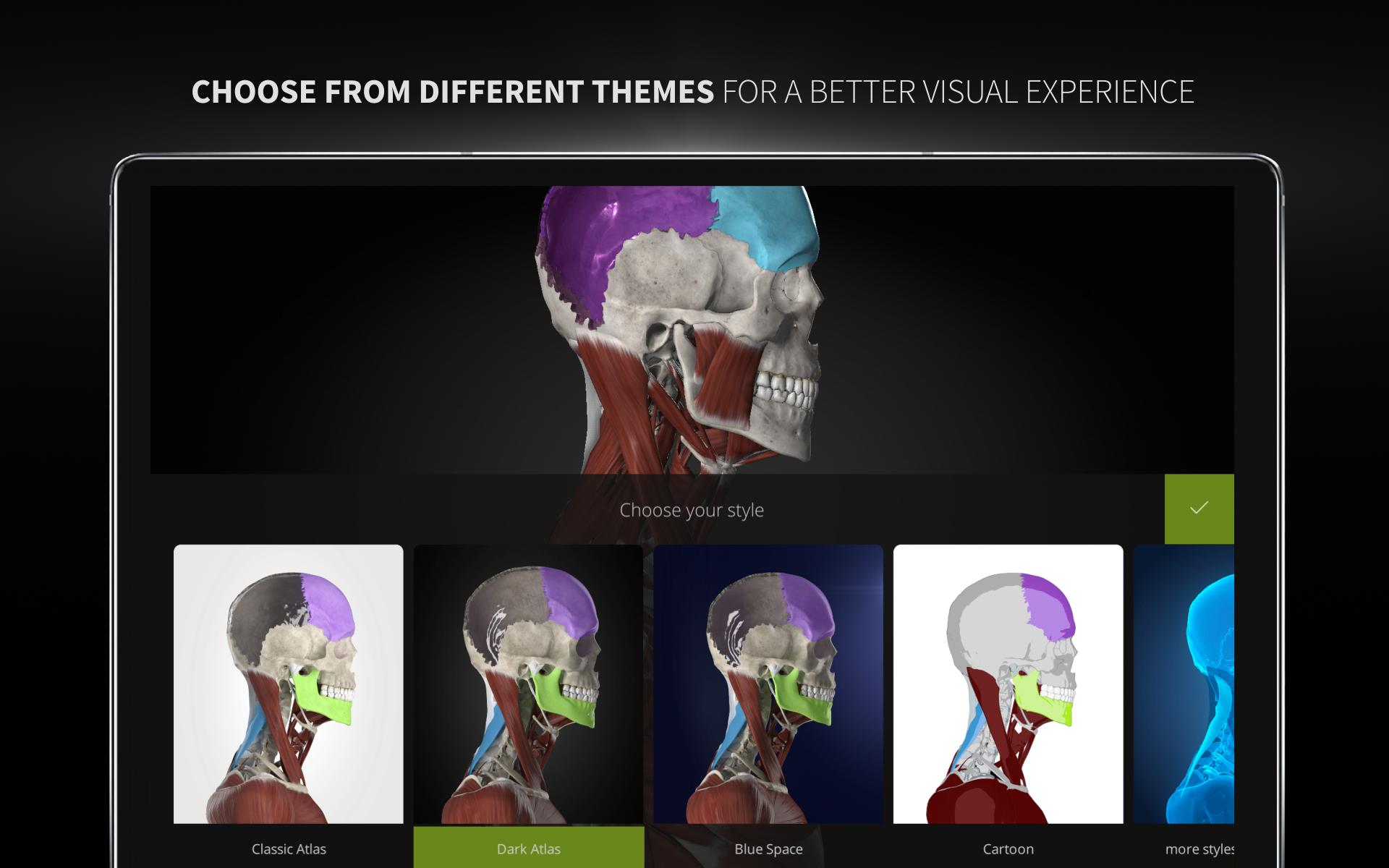 Anatomyka - 3D Human Anatomy Atlas 2.0.8 Screenshot 23