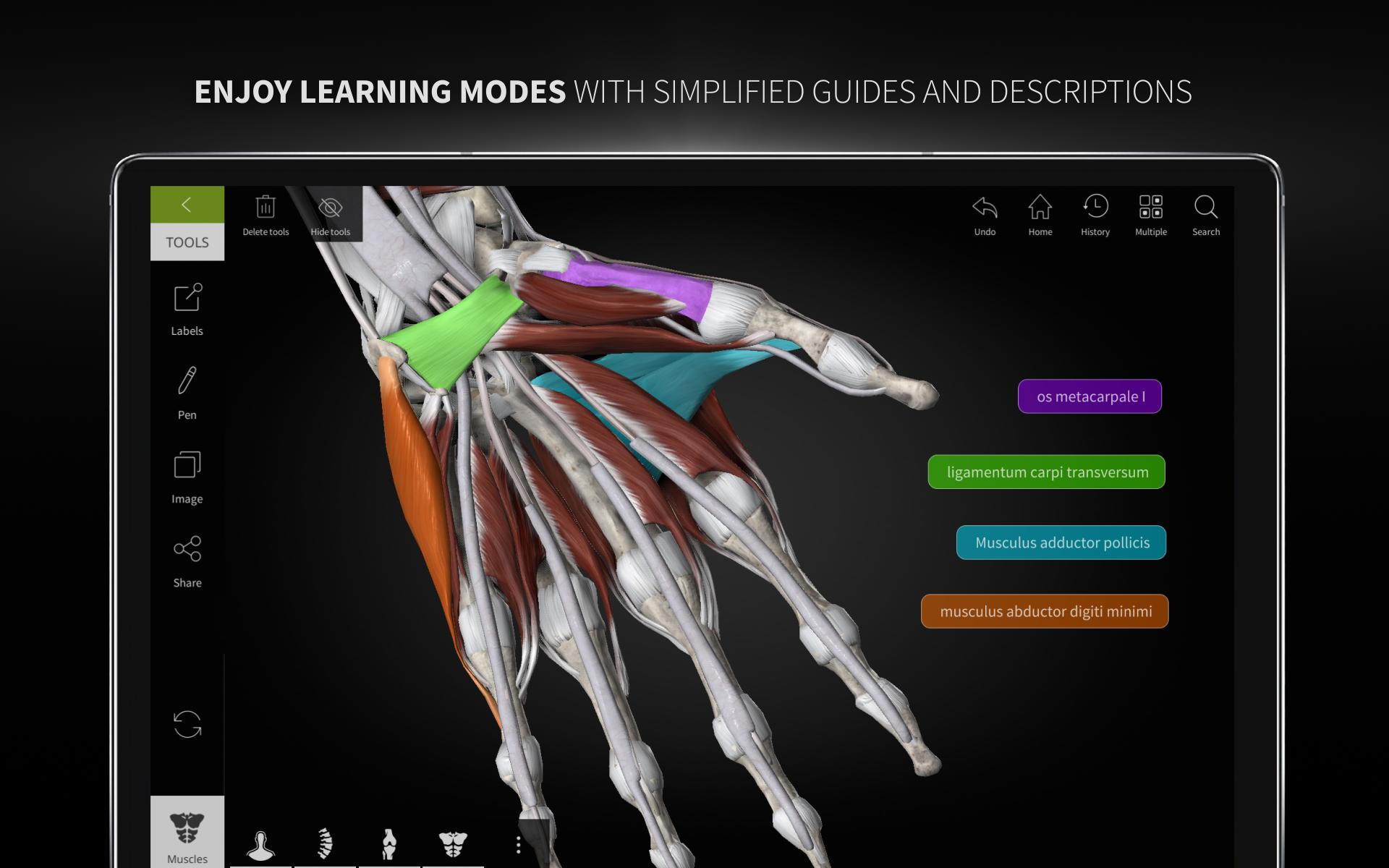 Anatomyka - 3D Human Anatomy Atlas 2.0.8 Screenshot 24