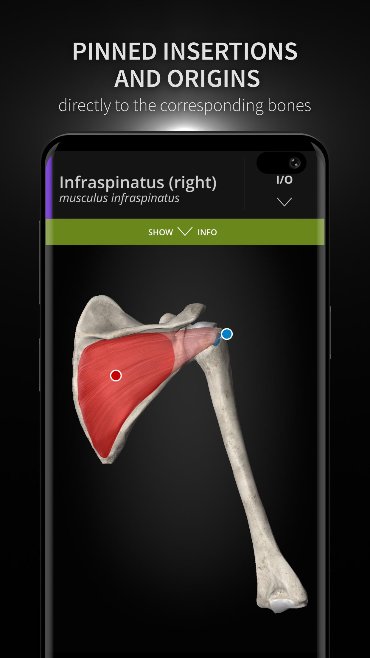 Anatomyka - 3D Human Anatomy Atlas 2.0.8 Screenshot 4