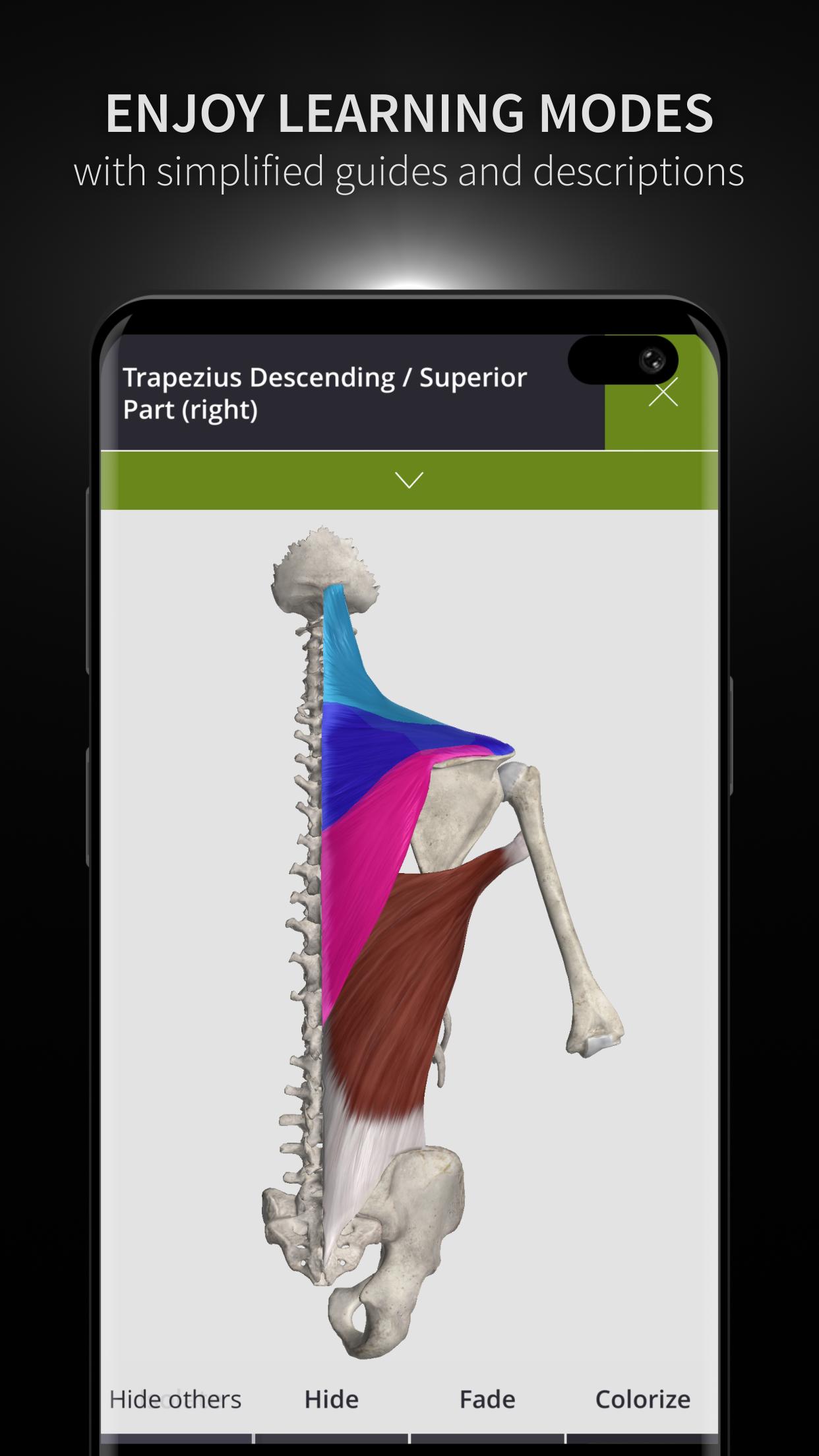 Anatomyka - 3D Human Anatomy Atlas 2.0.8 Screenshot 6