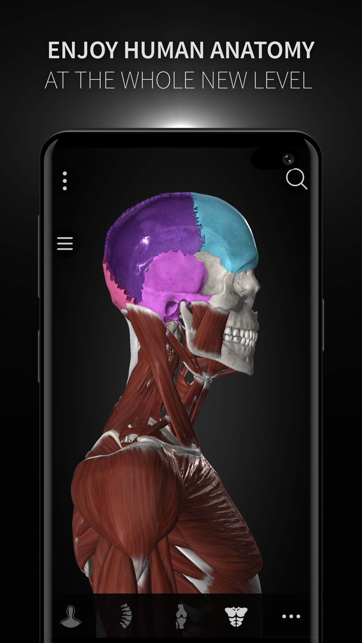 Anatomyka - 3D Human Anatomy Atlas 2.0.8 Screenshot 7