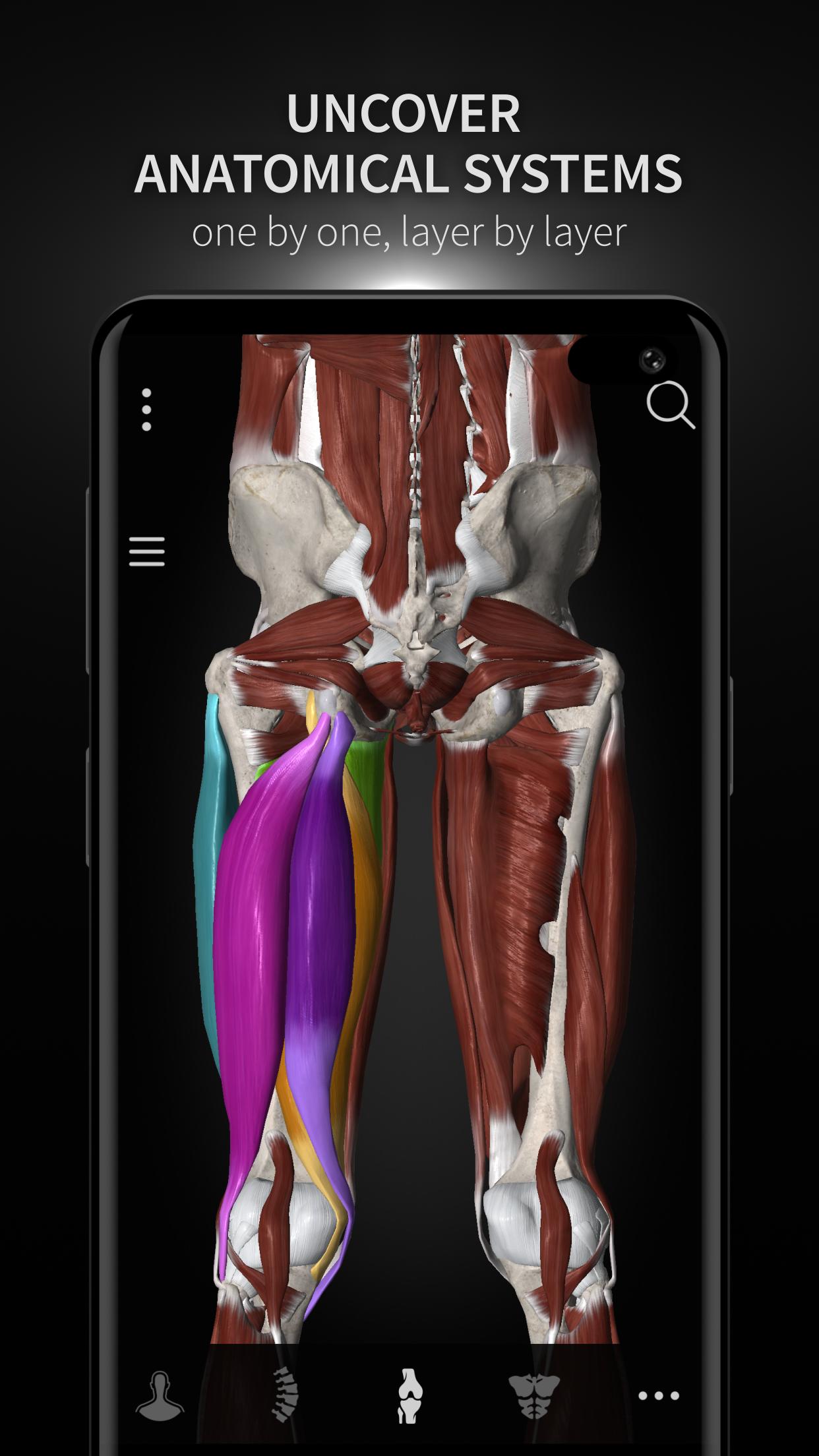 Anatomyka - 3D Human Anatomy Atlas 2.0.8 Screenshot 8